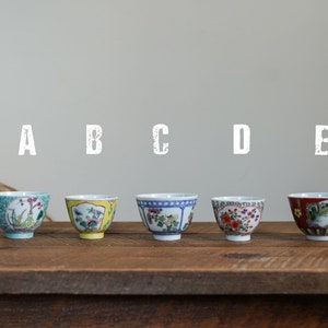 Hand-Painted Vintage Chinese Flower Garden Teacup