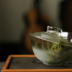 Semi Frosted Glass Gaiwan