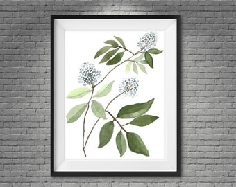 Botanische Illustration Aquarell BlumenDruck Pflanze Aquarell Digitale Wand Blumendruck Wandbehang Pflanze Blumen Aquarell Druck JPG