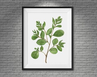 Botanische Illustration Aquarell Druck Pflanzenblätter Aquarell Digitale Wand grüne Blätter Druck Wandbehang Pflanze Aquarell Druck JPG
