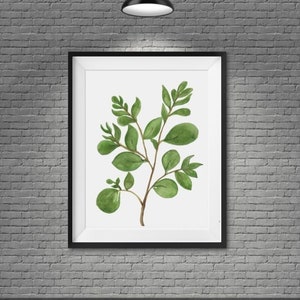 Botanical Illustration Watercolor Print Plant Leaves Watercolor Digital Wall Green Leaves Print Wall Hanging Plant Watercolor Print JPG