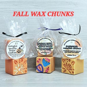 May include: Three clear plastic bags containing square wax melts labelled Fall Wax Chunks. Each bag features a round label with text including Pumpkin Souffle Sugar Cookies, Crunchy Berry Pumpkin Pecan Waffle Treats, and Pumpkin Caramel Crunch, all 2.5 oz.