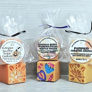 May include: Three square wax melts in clear plastic bags with black or purple ribbons. Labels read Pumpkin Souffle Sugar Cookies, Crunchy Berry Pumpkin Pecan Waffle Treats, and Pumpkin Caramel Crunch. Each block features embossed floral or fruit designs.