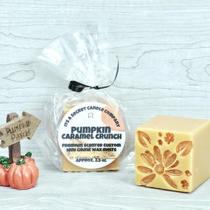 May include: A light orange wax melt cube with a floral relief pattern, a clear plastic bag containing Pumpkin Caramel Crunch wax melts with a label reading Its A Secret Candle Company, and a small sign reading Pumpkin Patch with two pumpkins.
