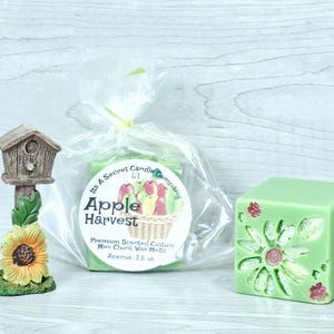 May include: A birdhouse figurine with a sunflower base, a clear plastic bag containing Apple Harvest scented wax melts with a label, and a light green cube-shaped wax melt featuring a floral pattern with pink and white accents.