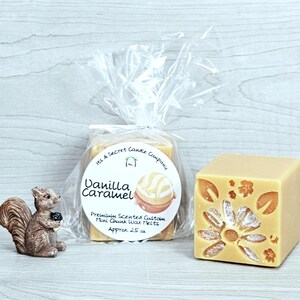 May include: A brown squirrel figurine next to a clear plastic bag containing Vanilla Caramel scented wax melts with a round label, and a single tan square wax melt featuring a carved floral pattern on the front face.
