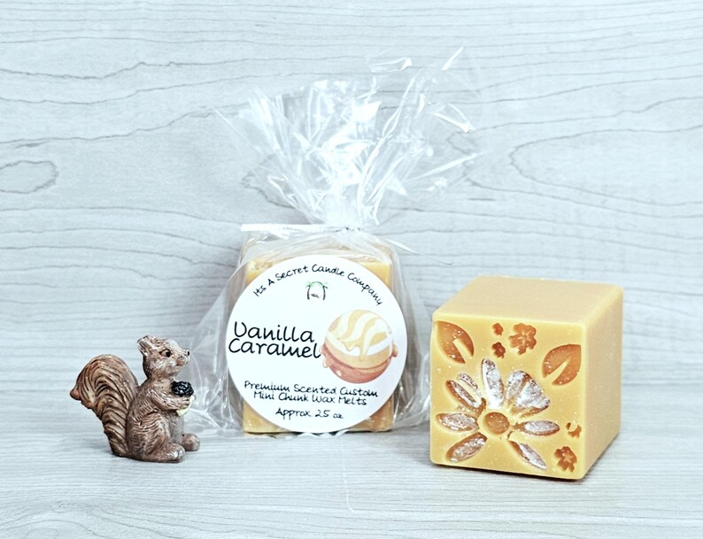 May include: A brown squirrel figurine next to a clear plastic bag containing Vanilla Caramel scented wax melts with a round label, and a single tan square wax melt featuring a carved floral pattern on the front face.