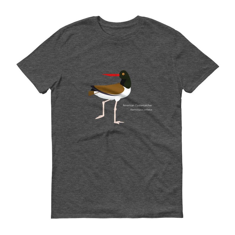 American Oystercatcher Short sleeve t-shirt | Etsy