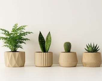 May include: Four potted plants in beige geometric and ribbed pots. The plants include a fern, a snake plant, a cactus, and a succulent. The pots are arranged in a row against a white background, creating a minimalist aesthetic.