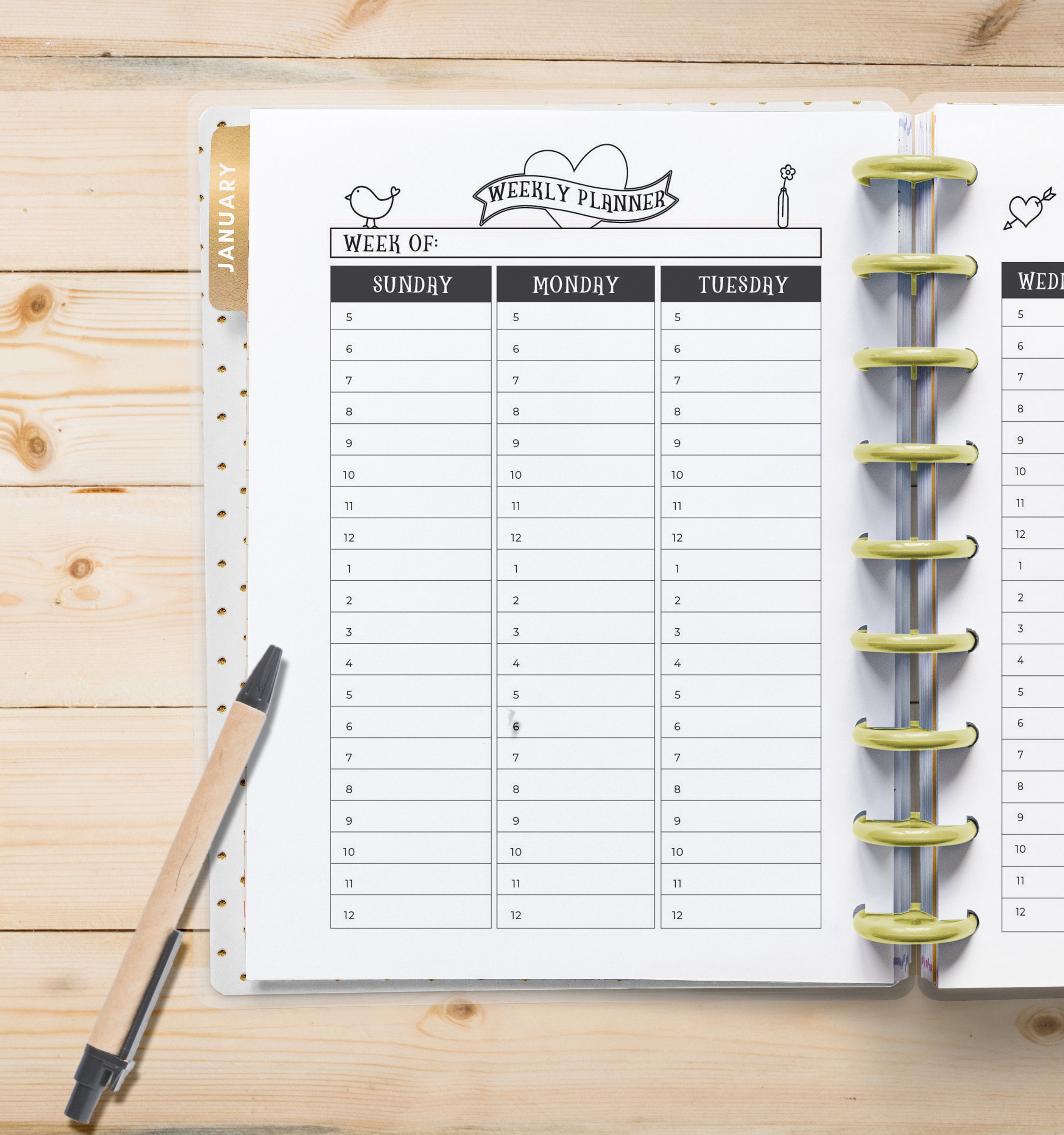 Planner Printables for the Happy Planner Classic, Weekly Inserts ...