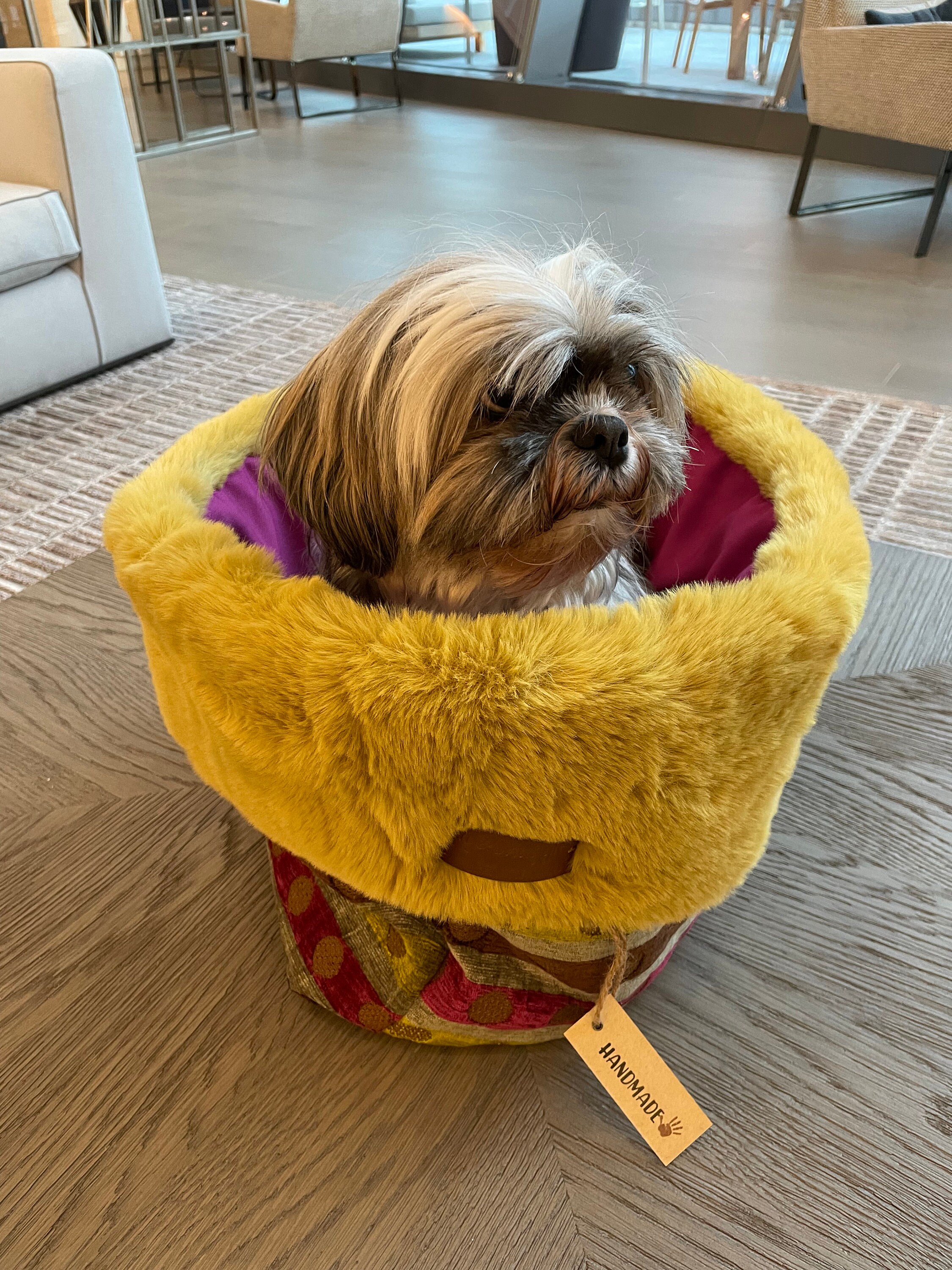 dog beds that help anxiety