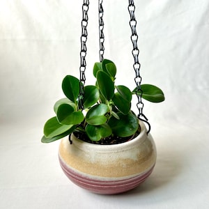 May include: A hanging planter with a white, beige, and pink striped ceramic pot. The pot is filled with a green plant and is suspended from a black chain.