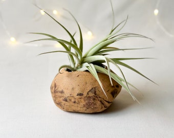 Pebble planter, pebble vase, ceramic Planter, pottery planter, organic shaped planter, air plant planter, air plant holder