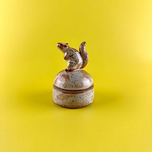 May include: A ceramic trinket box with a squirrel figurine on top. The box is round with a speckled, brown and white finish. The squirrel is brown and white with a detailed tail. The background is a solid yellow.