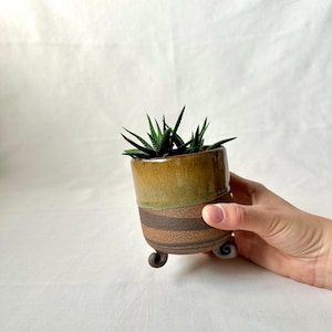 May include: A small, brown and green ceramic planter with three legs. The planter has a striped pattern and is holding a small succulent plant.