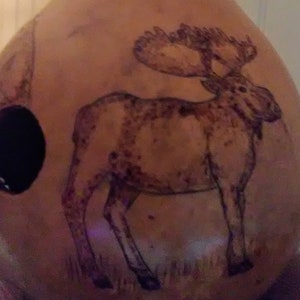 Moose Design Gourd Birdhouse with the Art of Pyrography