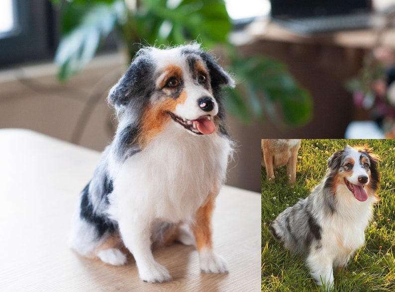 Needle Felted Blue Merle Australian Shepherd Dog Replica 2023 Etsy