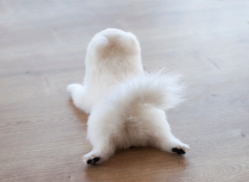 Needle Felted White Pomeranian Boo Replica 15-17 cm, Custom Made Pomeranian Puppy Realistic Wool Sculpture image 6