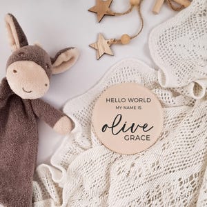 Hello World Personalised Baby Name Plaque - Custom Birth Announcement Sign - New Born Reveal Sign - New Baby Name Sign - Photo Prop