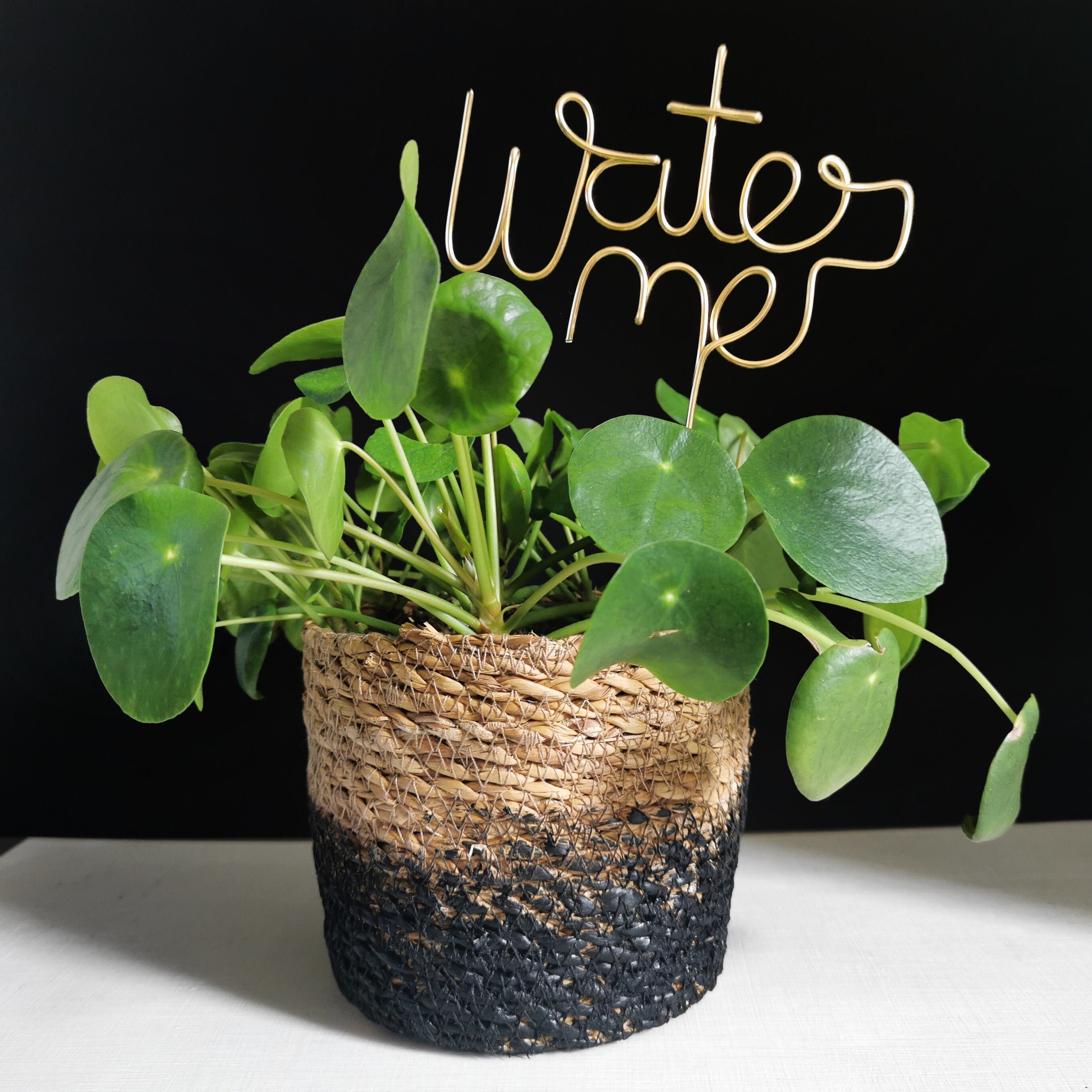 Water Me Plant Marker - Topper Marqueur de Jardin d'herbes Décor Végétal Cadeau Décoration Intérieur