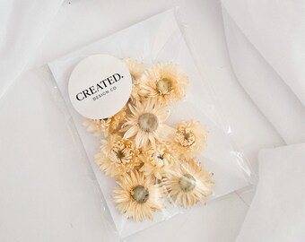Dried Strawflowers for Cakes - Neutral Flowers for Cakes