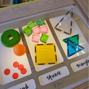Trofast-inzet - grote sorteerinzet voor Flisat Sensory-tafel - hands-on leren voor het sorteren van kleur, maat, patroon, cijfers en meer
