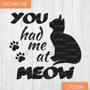 Katze Miau schneiden Datei, Sie hatten mich an Miau, Katzenpfoten, Katze Zitat SVG, Katzen-Silhouette, Liebe Katzen geschnitten, Datei, verrückte Katzendame, Auto Aufkleber Svg, Dxf, png