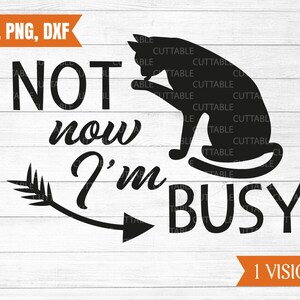 Katzen-Silhouette, Katze geschnitten Datei SVG, nicht jetzt, ich bin beschäftigt, Zitat SVG, Liebe Katzen Schnitt SVG, verrückte Katzendame, Katzenpfoten, Auto Aufkleber Svg, Dxf, Png-Datei