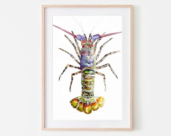 Crayfish Art Print, Australian Wildlife illustration, Coastal Wall decor
