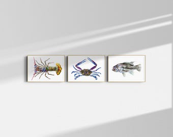 Bundle Set of 3 - Coastal Sea Life Art Prints: Ocean Fish & Crab Nautical Decor