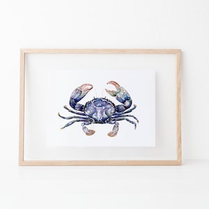 May include: A watercolour painting of a blue crab with orange claws. The crab is depicted in a realistic style with intricate details.