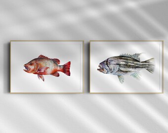 Bundle Set of 2 - Ocean Fish & Crab Fine Art Prints,
