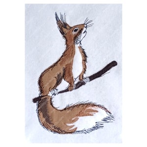 May include: Embroidered design of a brown squirrel with a white belly sitting on a branch, looking up. The squirrel has a bushy tail.