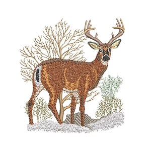 May include: A brown and white deer with large antlers stands in a snowy forest setting. The deer is facing the viewer with its head tilted slightly to the side. The deer is surrounded by bare trees and bushes.