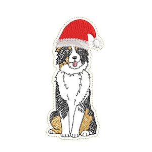 May include: A black, white, and brown Australian Shepherd dog wearing a red Santa hat. The dog is sitting with its tongue sticking out.