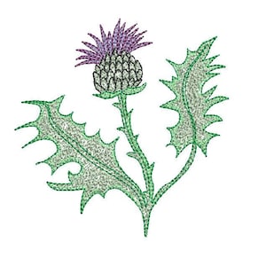 Thistle 3 sizes Digitized Machine Embroidery Design Digital Download Scottish Purple Flower with &#39;crayon&#39; line fill Great decor item