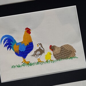 Peut inclure: Image brodée d'un coq, d'une poule et de deux poussins. Le coq est bleu, jaune et rouge. La poule est brune et blanche. Les poussins sont jaunes et blancs.