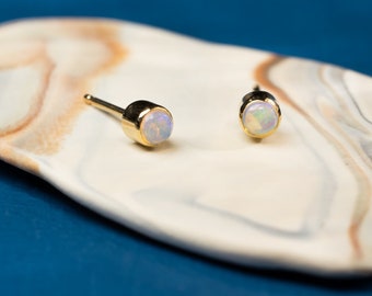 Opal Bezel Studs in Yellow Gold