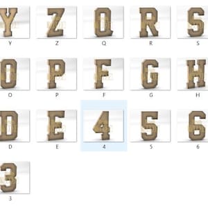 May include: A collection of wooden letters, numbers, and an ampersand. The letters are in a serif font and have a distressed, rustic appearance. The numbers include 0 through 9. The ampersand is also included.