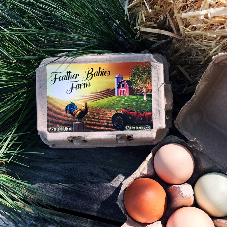 6 ct Egg Carton Labels 1/2 Dozen Carton Labels Retro Farm Etsy