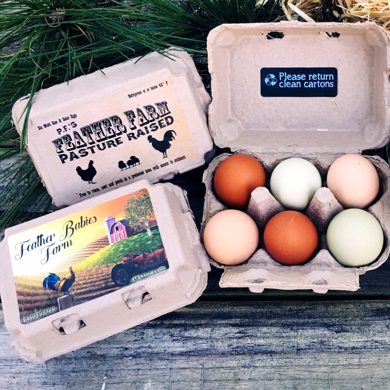 6 ct egg carton labels 12 dozen carton labels retro farm etsy