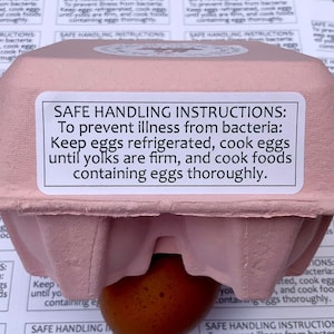 May include: A pink cardboard egg carton with a white label that reads "SAFE HANDLING INSTRUCTIONS: To prevent illness from bacteria: Keep eggs refrigerated, cook eggs until yolks are firm, and cook foods containing eggs thoroughly."