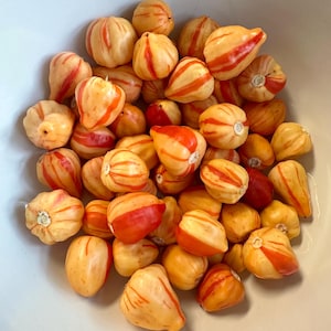 Op de afbeelding: Een verzameling kleine, druppelvormige pepers met een gladde, glanzende schil. Elke peper heeft een gevarieerd patroon van romige lichtgele en levendige oranjerode strepen, met een kleine, lichtgekleurde steelaanzet aan de bovenkant van de vrucht.