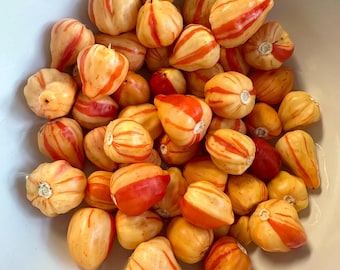 Peppapeach Stripey - Semillas de pimiento orgánicas sin OMG (10+ unidades)