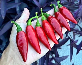 Balik - Semillas de pimiento orgánico sin OMG, variedad tradicional de Turquía (más de 10 variedades).