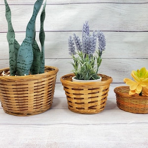 May include: Three woven baskets with plants. The largest basket is brown and has a green snake plant. The middle basket is brown and has a lavender plant. The smallest basket is brown and has a yellow succulent.