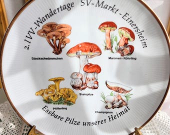 Vintage German Plate, Edible Mushroom Motif SV Markt Einersheim, Hiking Wandertage Souvenir Plate, Whimsical Kitchen Decor