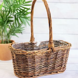 May include: A brown wicker basket with a handle, designed for planting. The basket has a clear plastic liner.