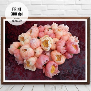 Druckbare Pfingstrosen Poster botanische Blumenkunst als Digitales Produkt zum selber drucken