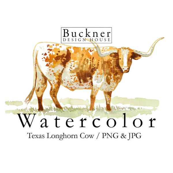 WATERCOLOR Texas Longhorn Cow Illustration - Realistic Longhorn Cow - Texas Clip Art - Hand Painted - Longhorn Clip Art - PNG & JPG